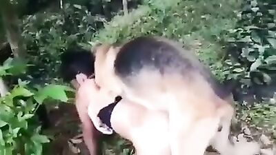 Quick forest fuck