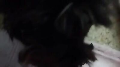 Meaty cunt licked