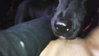 Natalie licked