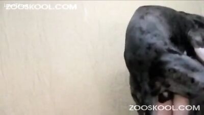 Milf fucks dog hard