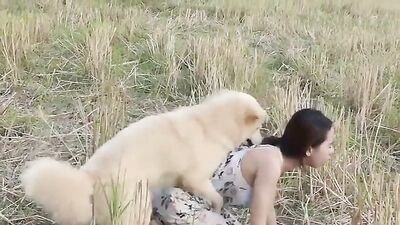 Lovely smart dog and Thai Girl