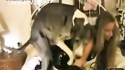 Homedog fuck