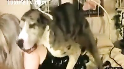 Homedog fuck