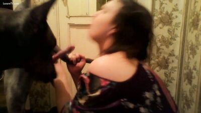 Chubby girl sucking 3 dogs