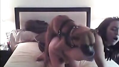 Home dog fuck