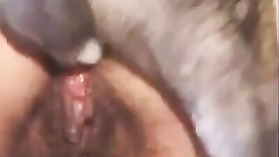 Pregnant Zoophilia Addict 3