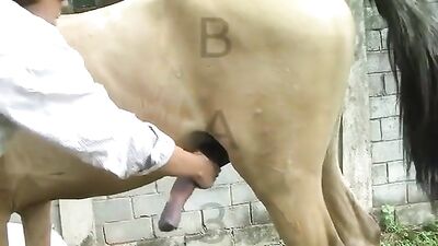 Girlfriend with a horse