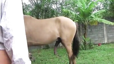 Girlfriend with a horse