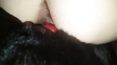 wife giving it to the dog