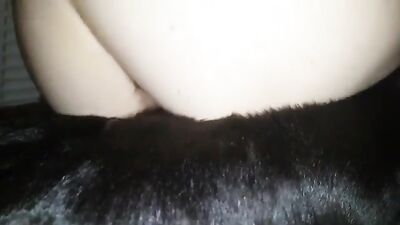 wife giving it to the dog