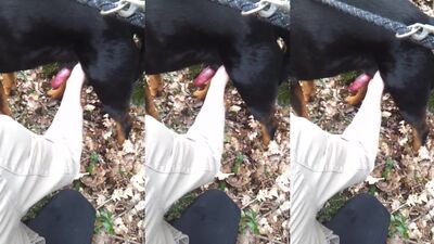 Fun in the woods
