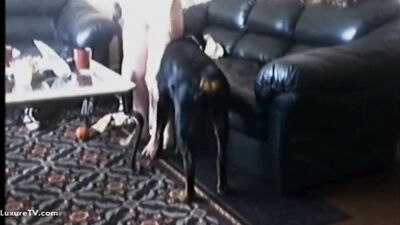 First time fuck with dog 100%steal