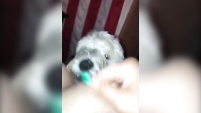 Ex Wife Sucking Dog Dick
