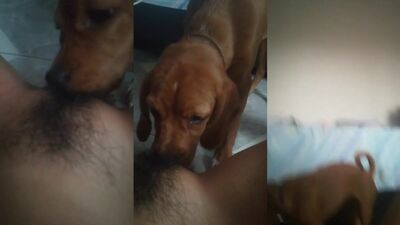 girl lick 2