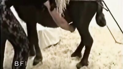 Euro Video - Mustang Explosions