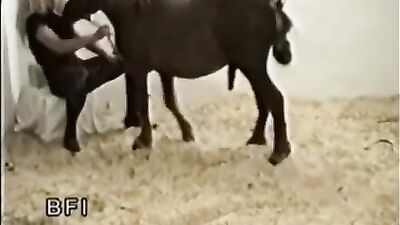 Euro Video - Mustang Explosions