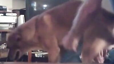 Sexy College Cutie Swallows Doggy Style Cum