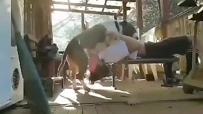 Dog Fucks in Mouth