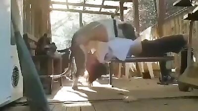 Dog Fucks in Mouth