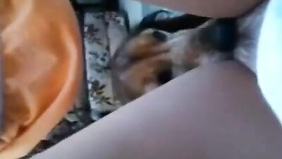 Grannys Pet Pup Gives Her a Sloppy Lickjob