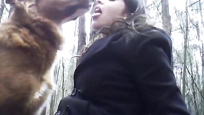 Dog Walk
