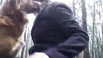 Dog Walk
