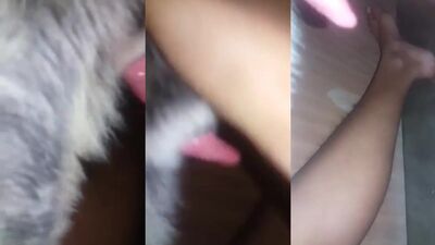 Dog Girl 1