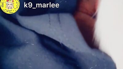 Dog cumming in amateurs pussy