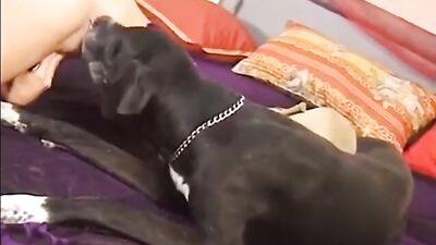 Dog Lick - Part 2 - Denise Denver