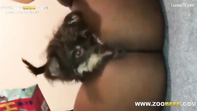dog licking black girl
