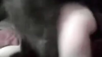Horn filming 2