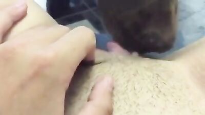Dog licking thick pussy