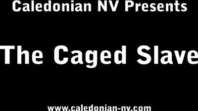 Caledonian - The Caged Slave