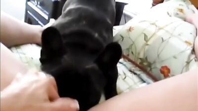 big clit lick