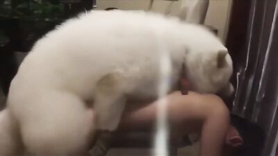 Charming Beijing Babe Sucks & Splits Thick Dog Dick