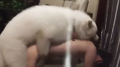 Charming Beijing Babe Sucks & Splits Thick Dog Dick