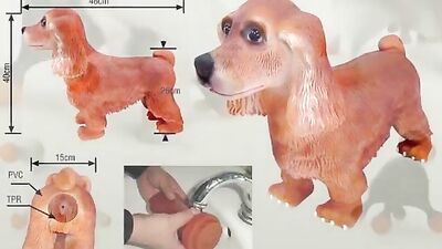 bestiality guide