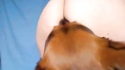 amateur-webcam-lady-and-dog