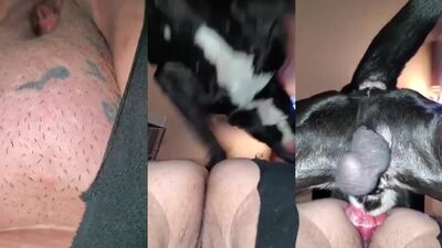 Bbw fucked by dog