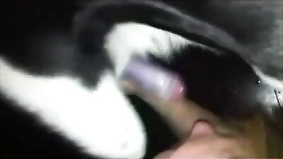 Amateur Housewife Blowjob