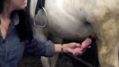 Amateur teen and horse 1
