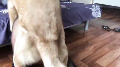 Sonyas Screaming Anal Fuck With Animal Boy
