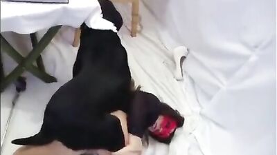 Office Babes Canine Carnal Cravings