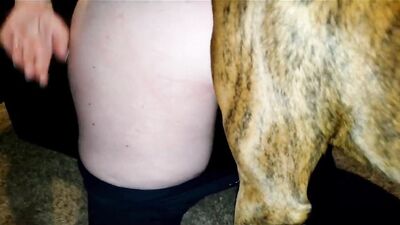 Dirty Family Debauchery: Sis Sucks Mastiffs Thick Cock