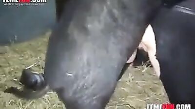 Đen heo vòi nước trong âm đạo là tất cả sừng farm đàn bà muốn trong