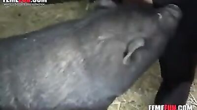 Đen heo vòi nước trong âm đạo là tất cả sừng farm đàn bà muốn trong