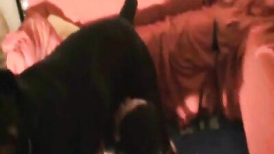 Video of zoophilia with amateur housewife and dog