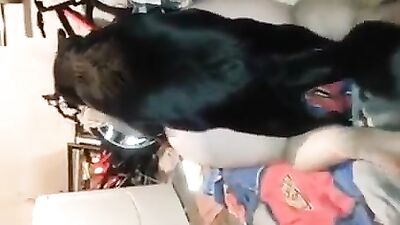 wife sex dog