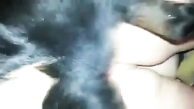 wife sex dog