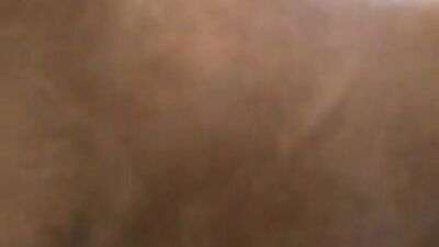 Two girl suck horse cock